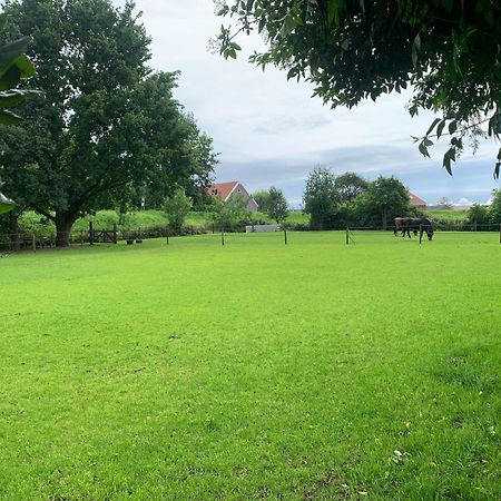 Luxury Guest House - Eik Aan De Dijk Aalst ภายนอก รูปภาพ