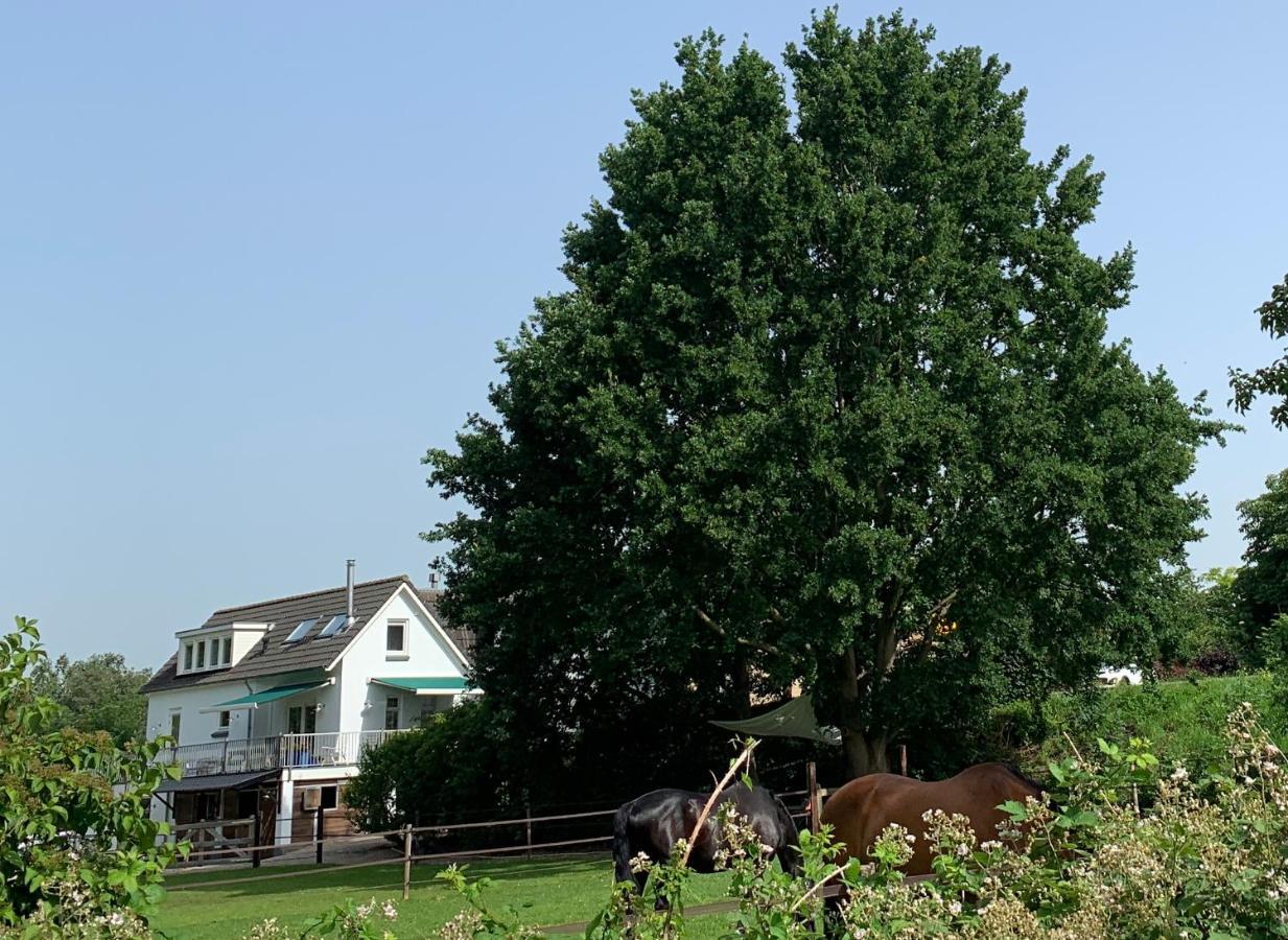 Luxury Guest House - Eik Aan De Dijk Aalst ภายนอก รูปภาพ