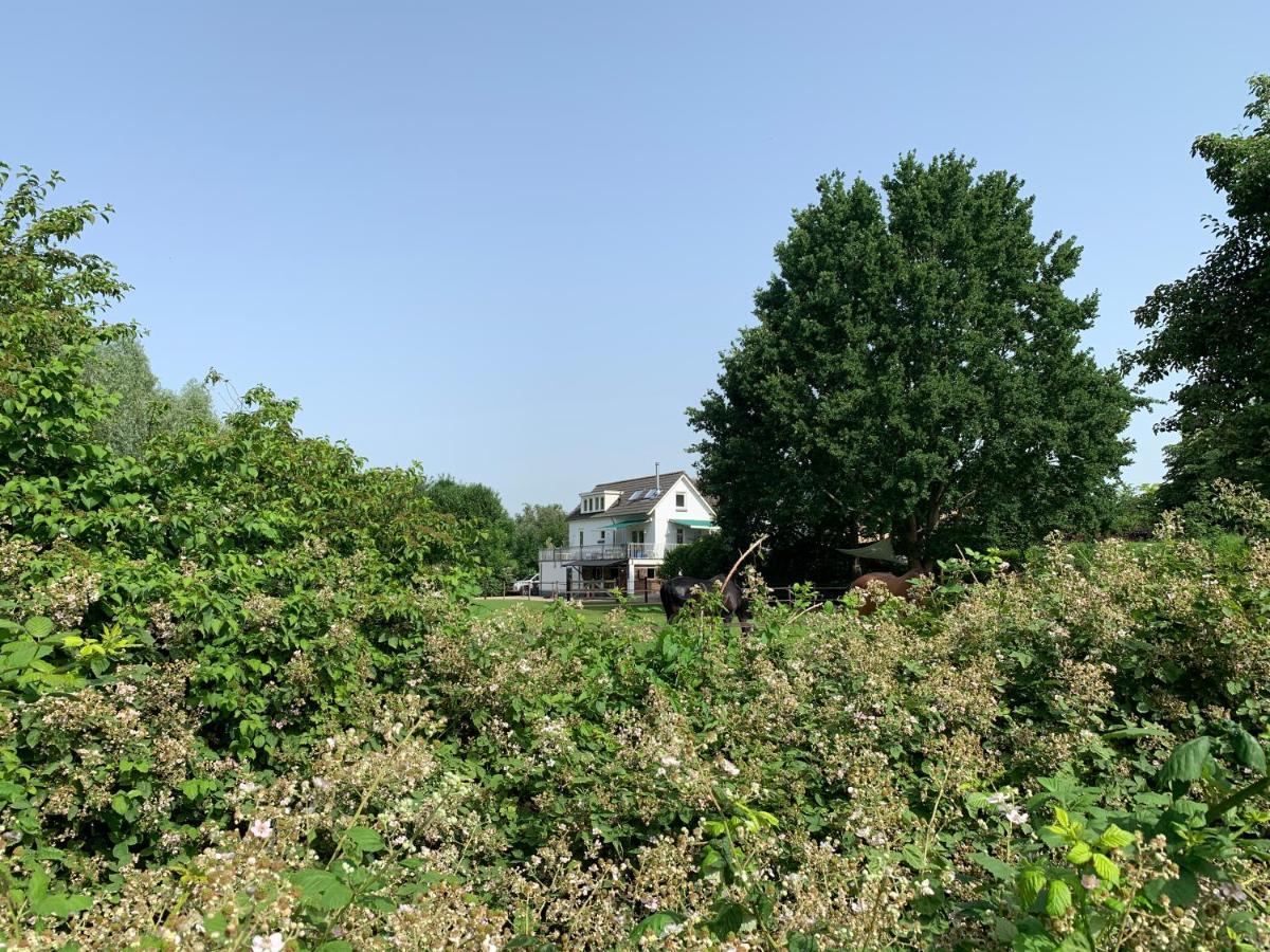 Luxury Guest House - Eik Aan De Dijk Aalst ภายนอก รูปภาพ